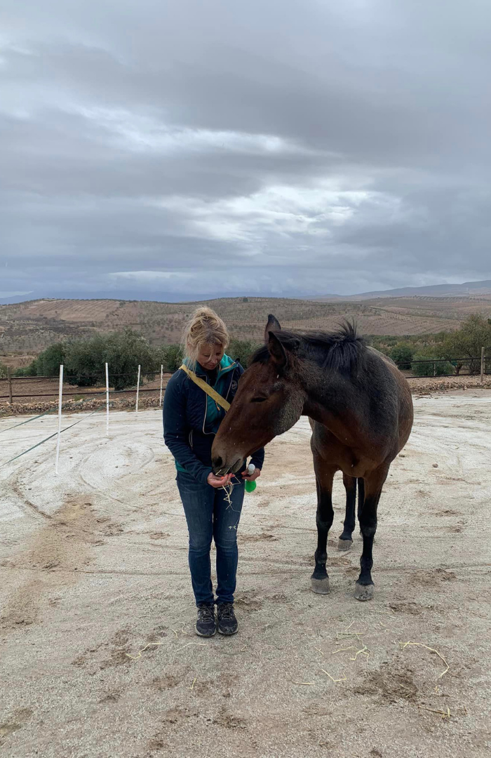 Maria Lucy - True North Equine Coaching